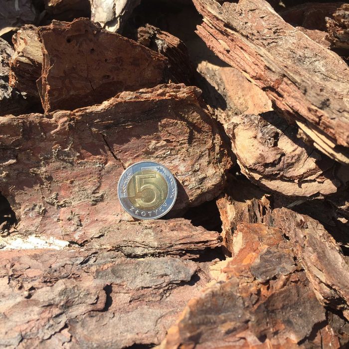 Kora Sosnowa GRUBA Frakcja od 10-100mm