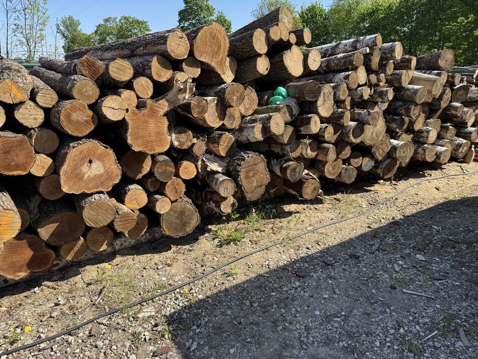 Drewno SUCHE kominkowe lub opałowe do wedzenia owocowe sezonowane