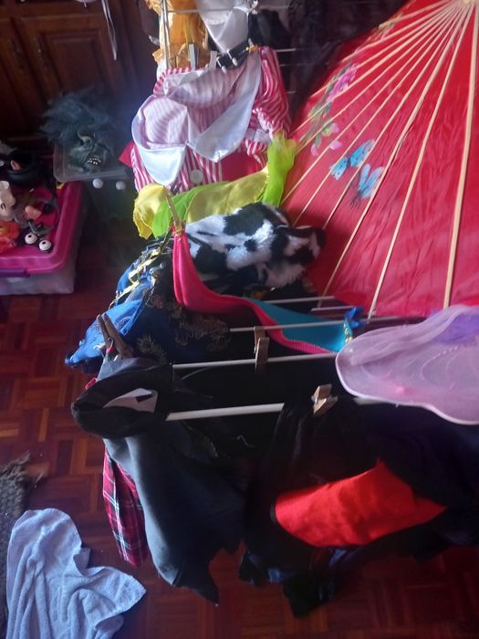 Carnaval sortido