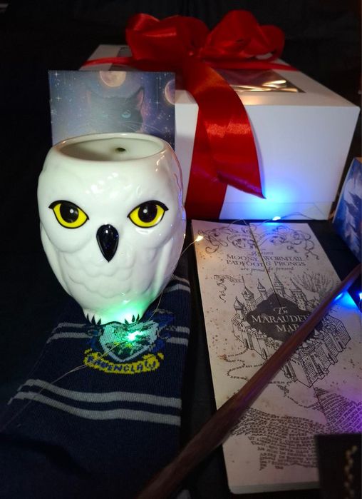 Подарунковий бокс "Гаррі Поттер" (Harry Potter) - набір колекціонера