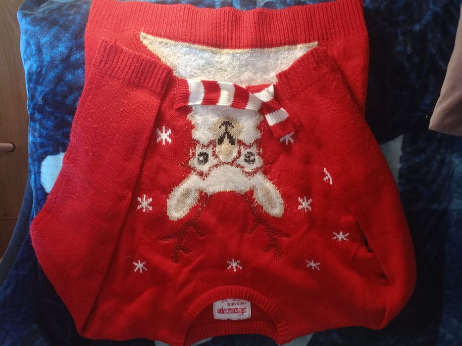 Sweter świąteczny renifer