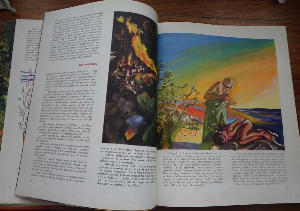 A Bíblia (Contada A Todos Os Jovens) - 1º Edição 1963