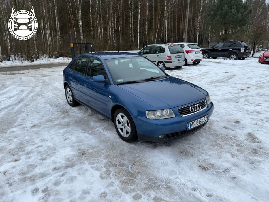 Audi A3 1,9 Tdi 101 Km Klimatronik 5 Drzwi