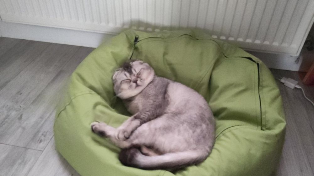 В'язка, скотіш фолд