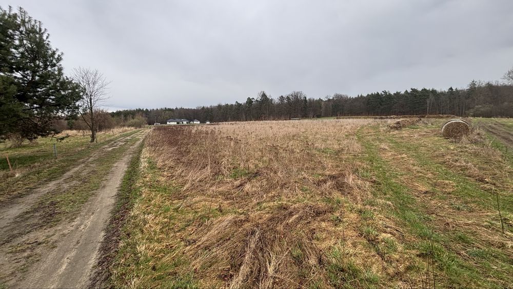 Działka Olbrachtów  1,1h. rolna z warunkami zabudowy - View 6