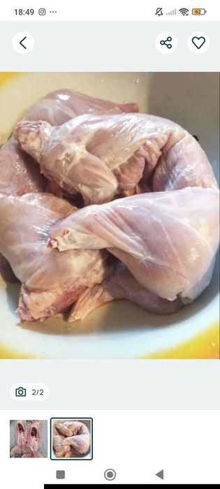 Продам м'ясо молодих кролів