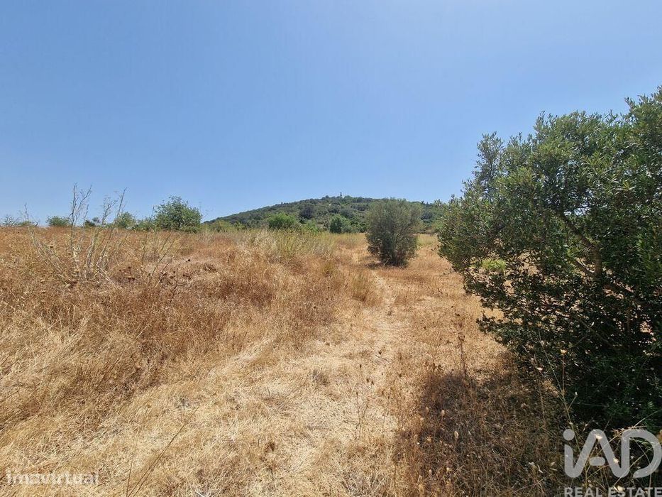 Terreno Agrícola em Santa Bárbara de Nexe