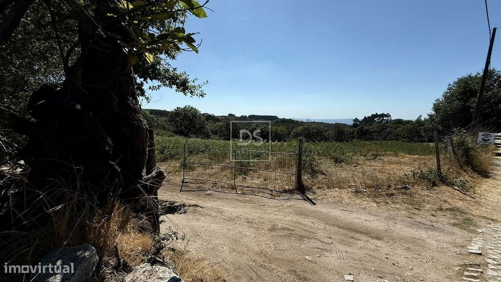 Quinta T5 Venda em Campelo e Ovil,Baião