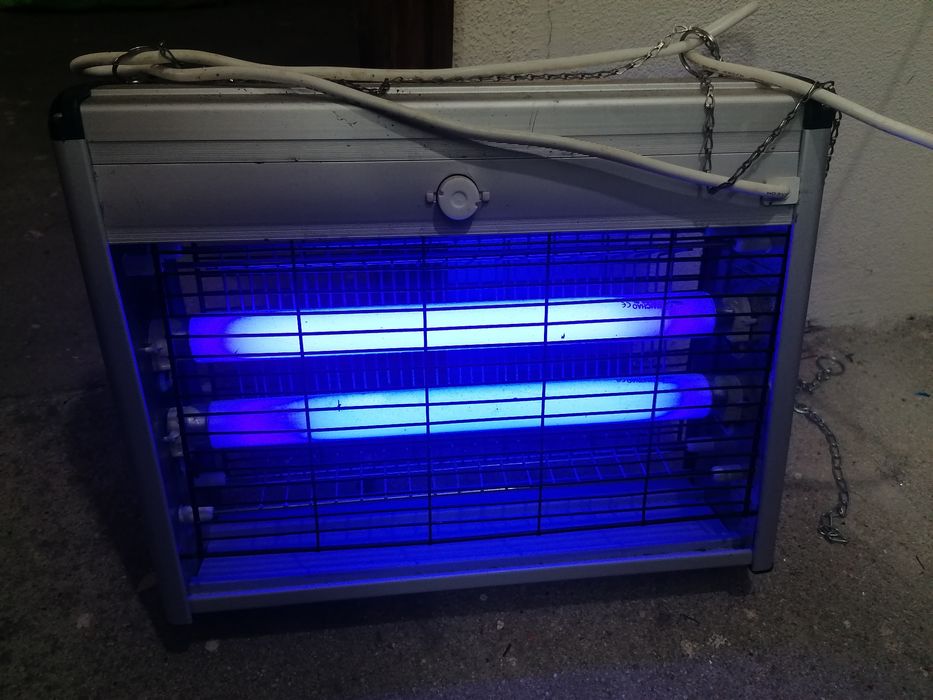 Mosquiteiro novo para desocupar