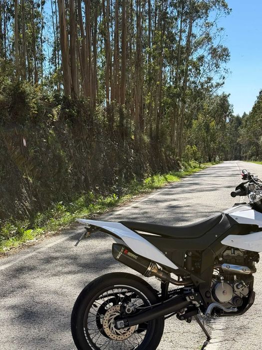 UM DSR 125cc 11kw 2024