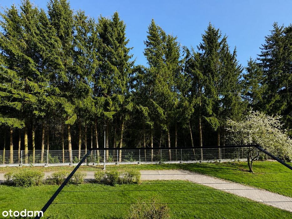 Pierwsze piętro 30,89 m2_Balkon_Koszarowa.