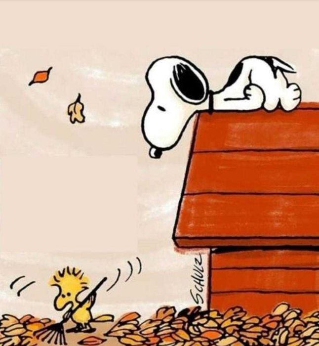 Peluche Grande - Snoopy - BLACK DAYS