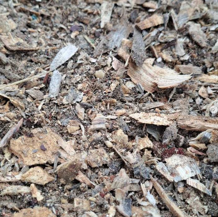 Organic mulch for Tropical fruit trees