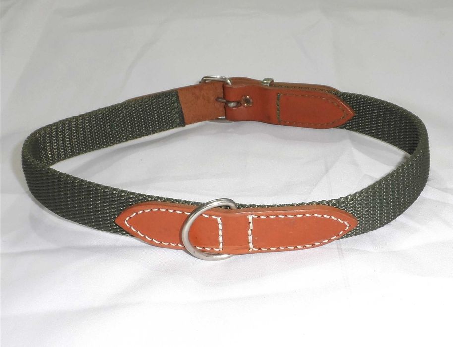 Нашийник для собаки