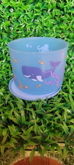 Caixas com desenhos