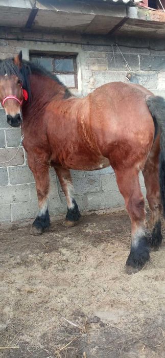 Dla kazdego cos dobrego