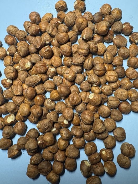 Продам фундук чищений