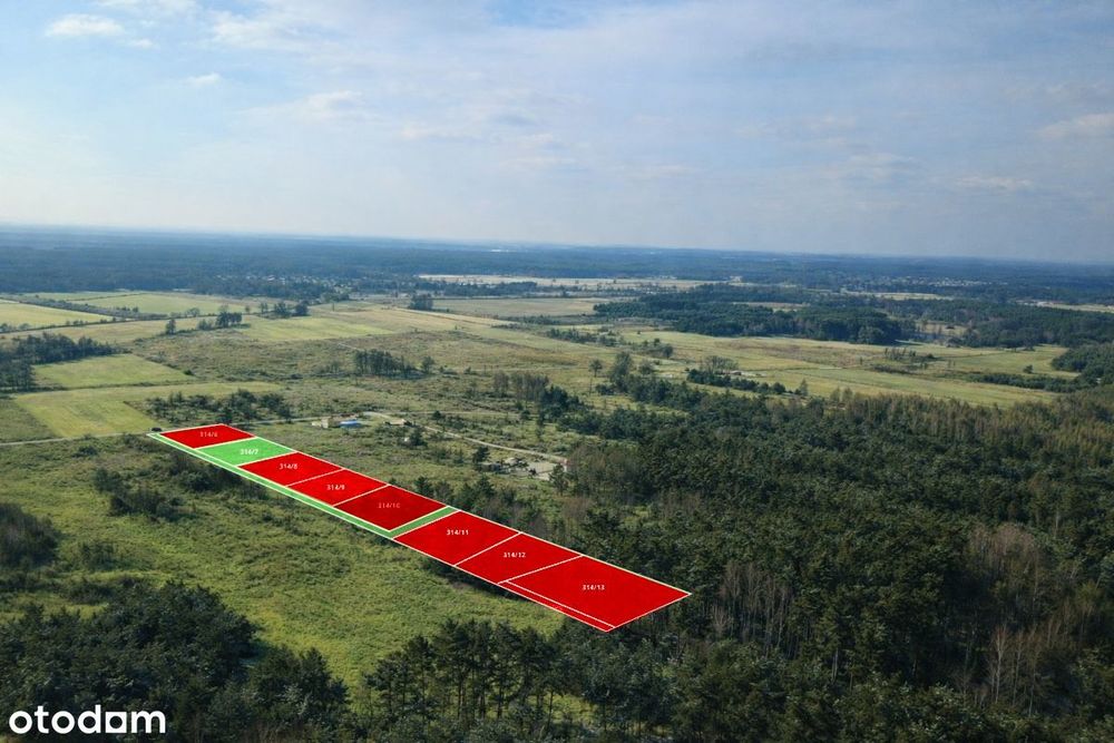 Działki budowlane w otulinie lasu