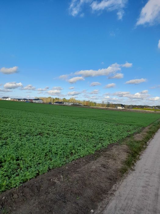 działka budowlana