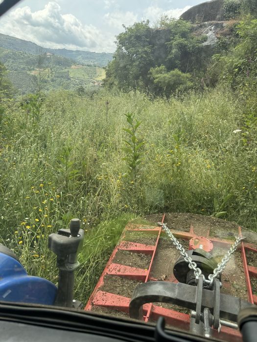 Prestacao de servicos