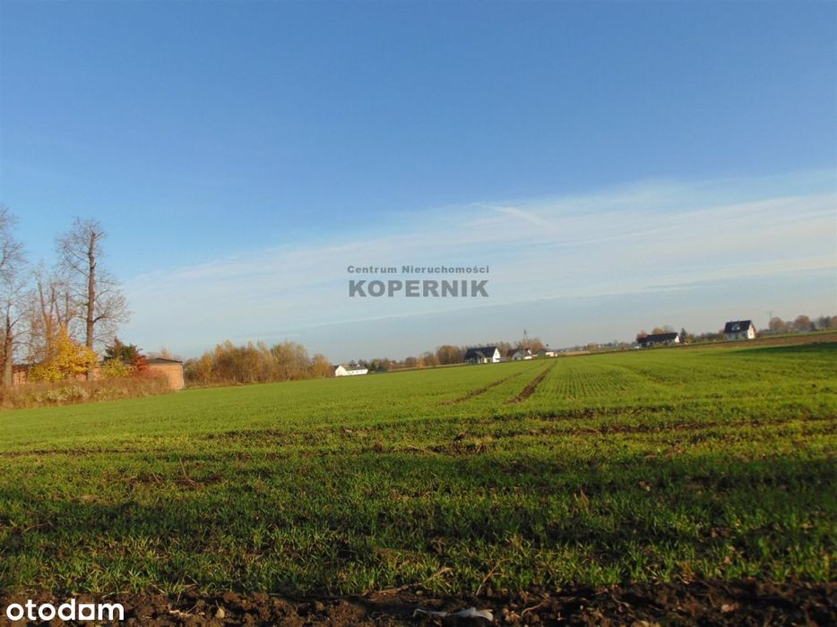 Siedlisko Wąpielsk!!!
