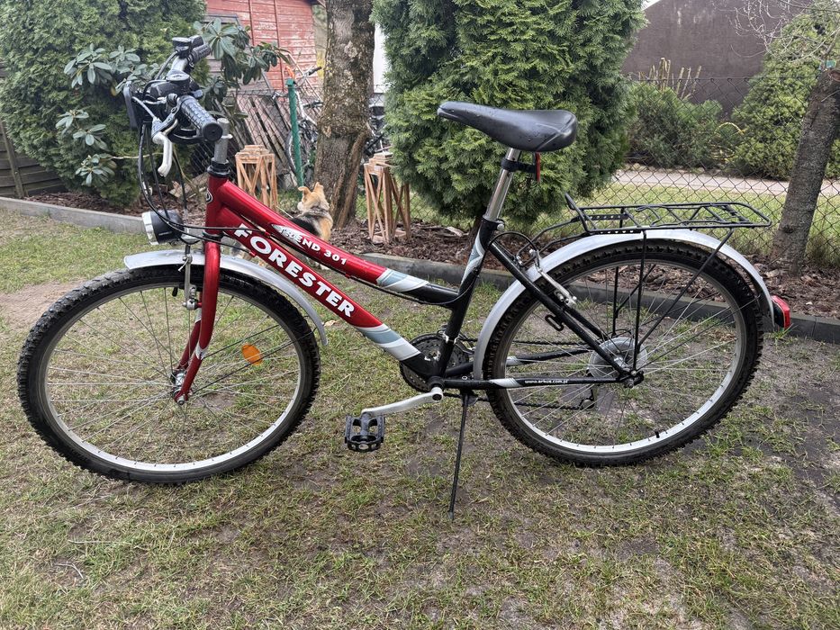 Forester Trend 301 rower miejski 24 cale bagaznik