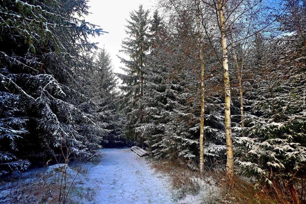 Sylwester i pobyt świąteczno-sylwestrowy jak w polskich Górach!!!