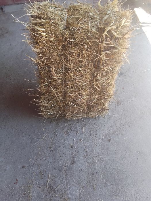 Продам тюки пшеничні