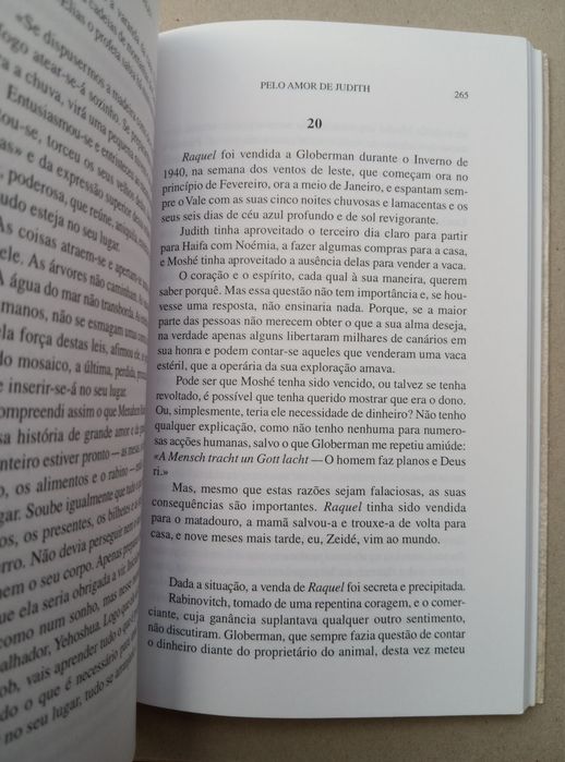 Meir Shalev, Pelo Amor de Judith