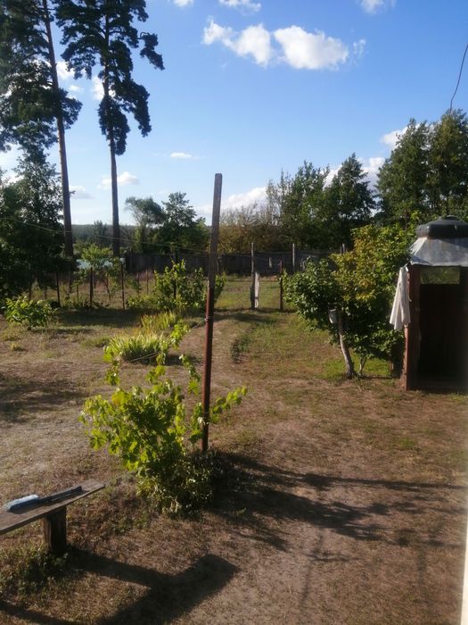 Продам будинок в с. Гуты (Богодухів 10 км)