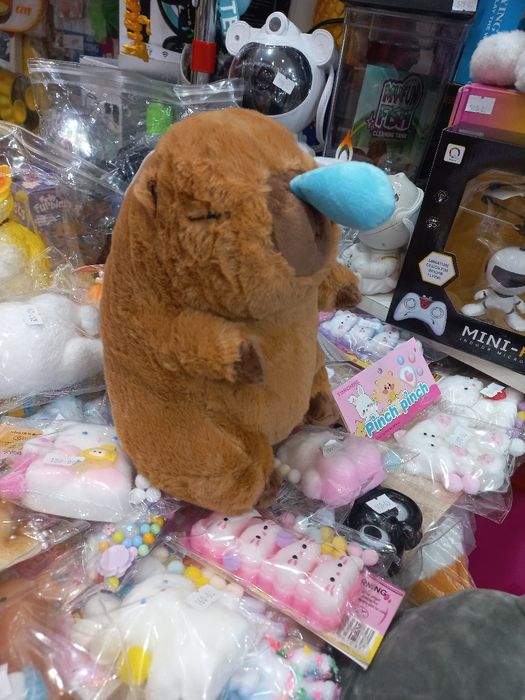 Капібара з сопелькою в Житомирі, Капибара з соплёй