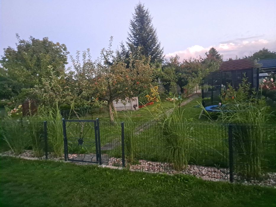 Działka rekreacyjna ROD Przyroda - Widok 4