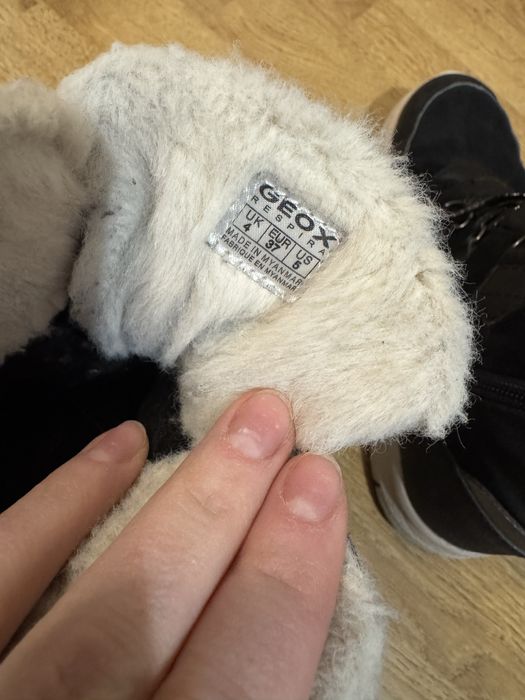 Чоботи/черевики зимові Geox 37