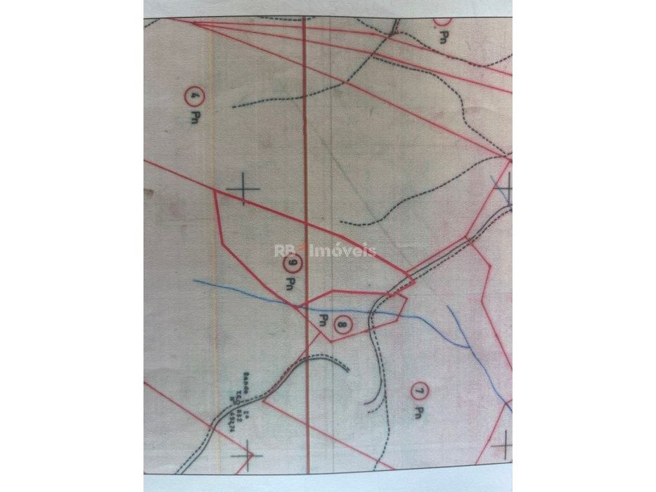 Terreno com Pinhal na Fonte Ferrada, Mação