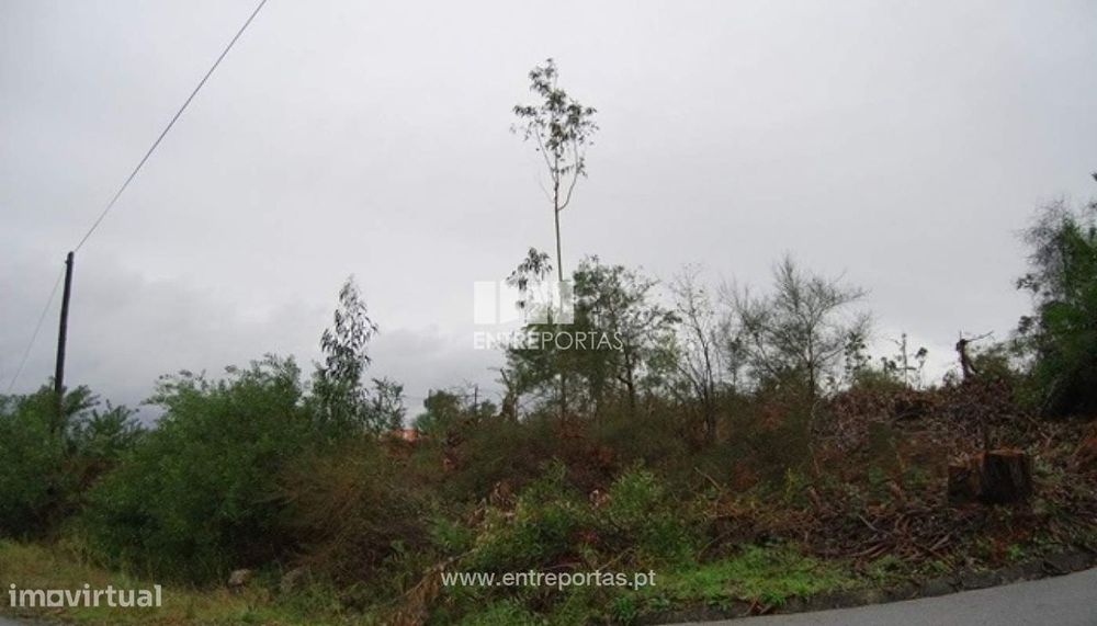 Terreno Vilarelho — Caminha (Matriz) E Vilarelho, Viana do Castelo