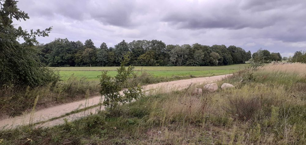 Działka rekreacyjna nad jeziorem, 706 m², prąd, woda, Lubieniec okolice Chodcza - Widok 3
