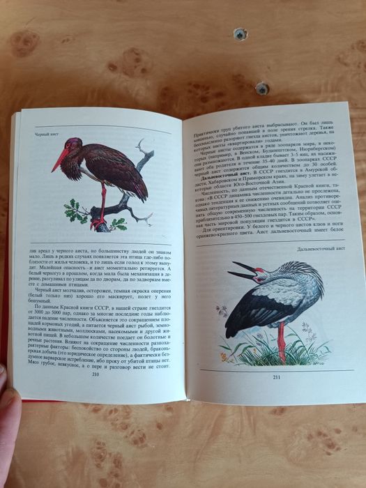 Редкие животные, красная книга