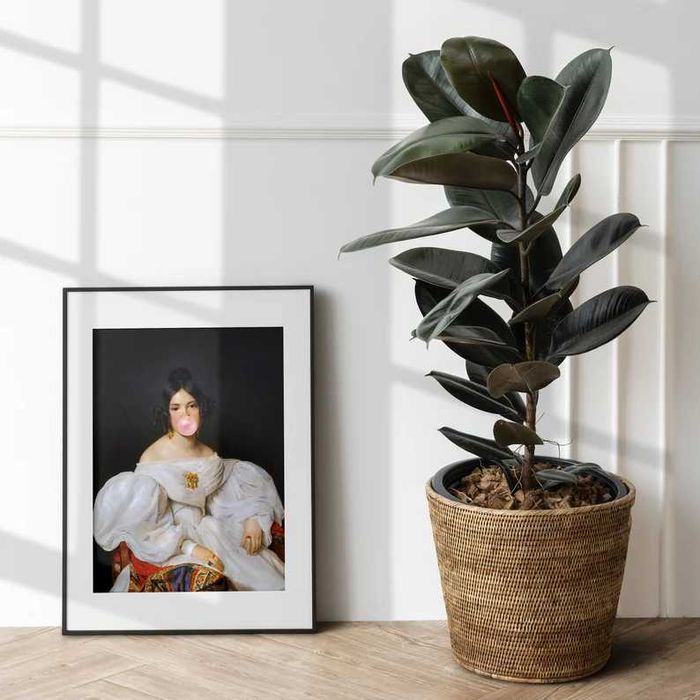 Poster Bubblegum Louise