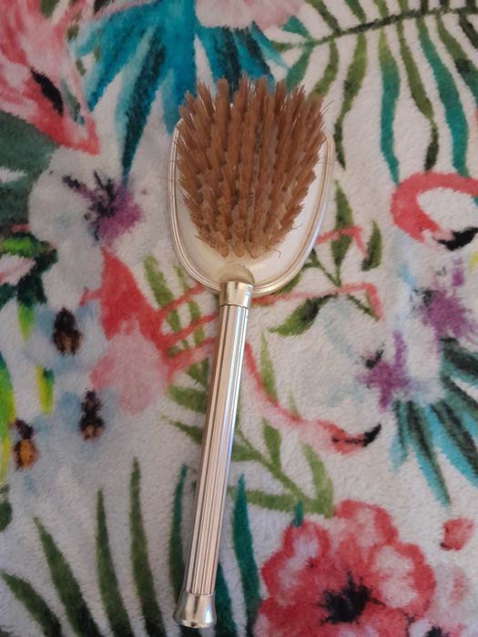 Escova antiga c desenho