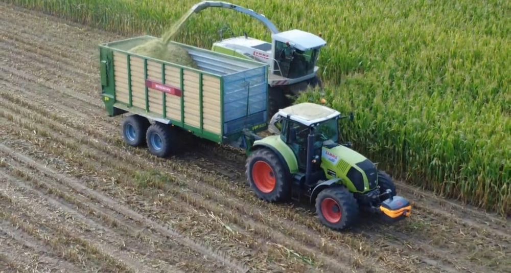 Zbiór Koszenie Kukurydzy na Kiszonke Usługi Rolnicze SHREDLAGE®