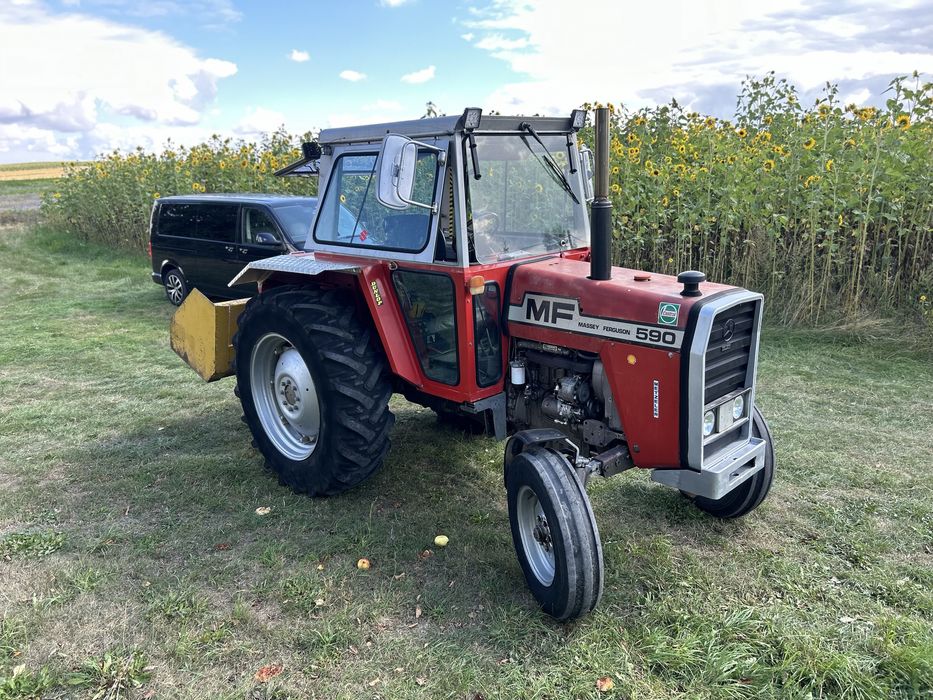 Ciągnik Massey Ferguson 590 2WD 75KM Bardzo dobry stan! Zarejestrowany!