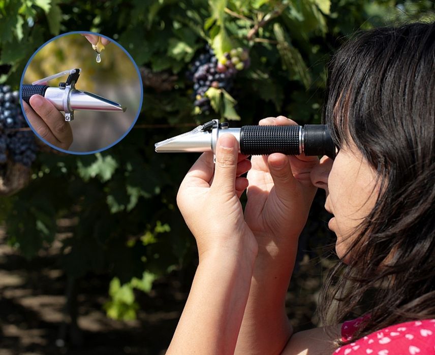 Microscopio medidor de grau de alcool provável uvas de vinho / vinha