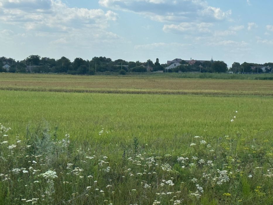 Продам ділянку за вигідною ціною