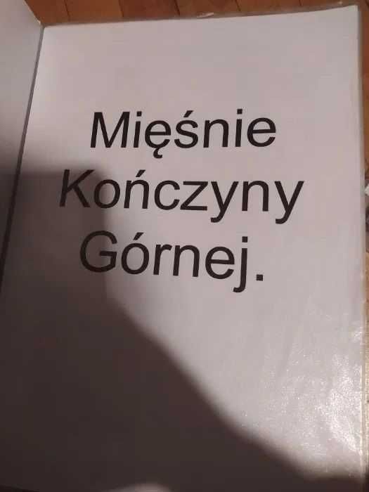 Notatki dla Technik Masażysta z Fizjoterapia Sportowa