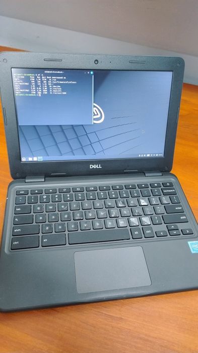 Chromebook Dell 3100 (linux mint 4/16) для інтернету та фільмів 10 год
