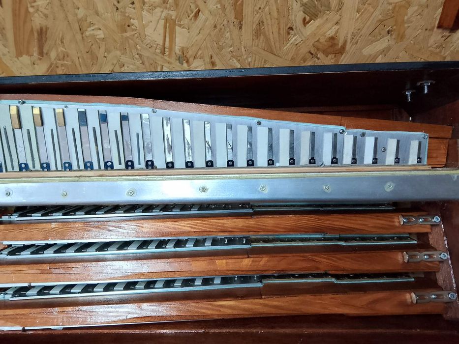 Bajan Jupiter celnoplanoczny