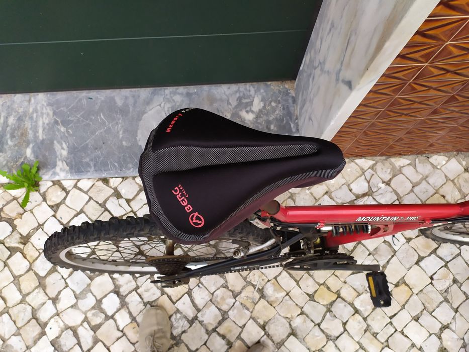 Bicicleta nova da marca panda de 21