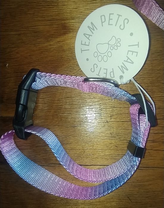 Шлея, нашийник, повідець нові