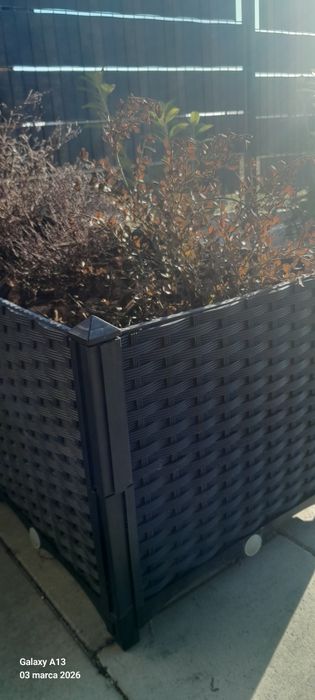 Skrzynia,donica,podniesiona rabata