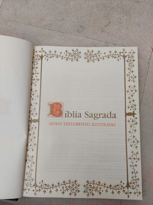 Bíblia Sagrada (Novo Testamento Ilustrado)